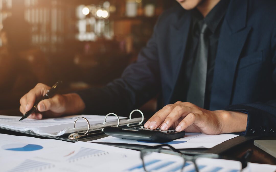 Decoding the 2024/2025 Federal Budget for your Household and Business